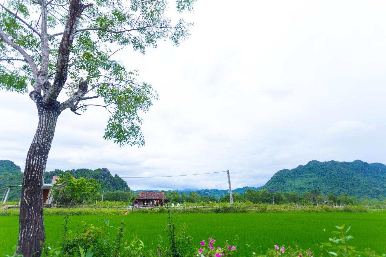 Pomelo Homestay Фонгня Экстерьер фото