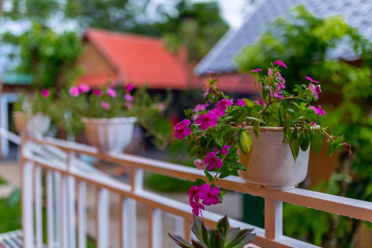 Pomelo Homestay Фонгня Экстерьер фото