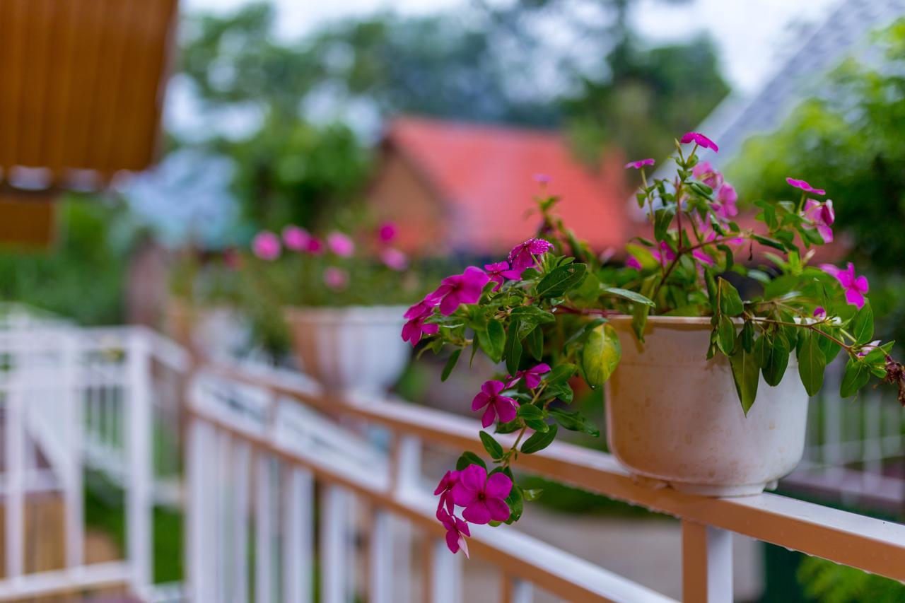 Pomelo Homestay Фонгня Экстерьер фото