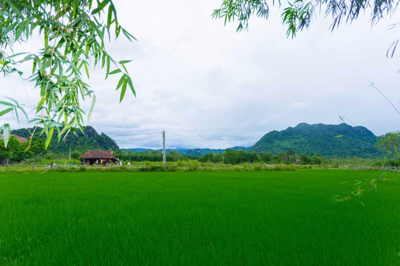 Pomelo Homestay Фонгня Экстерьер фото